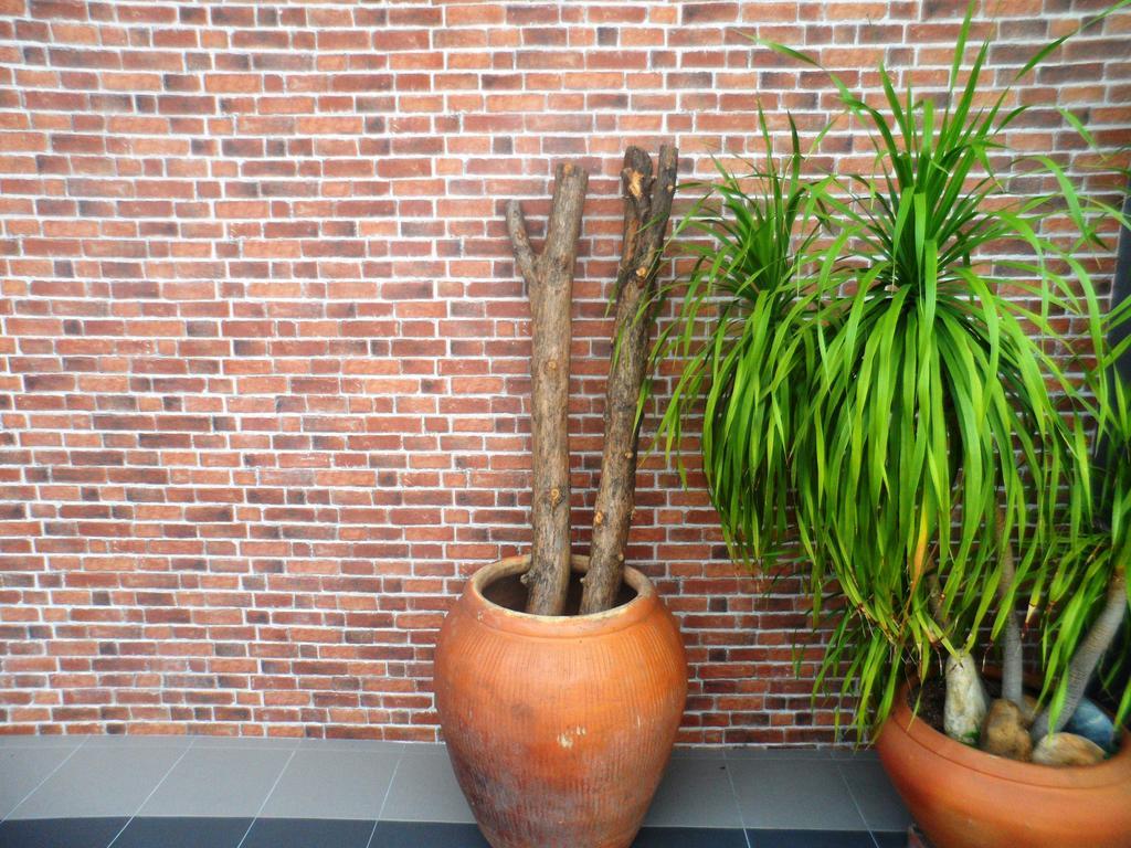 Austin Guesthouse Ipoh Eksteriør bilde
